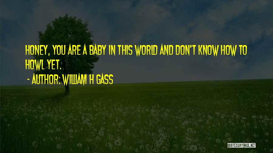 William H Gass Quotes 770448