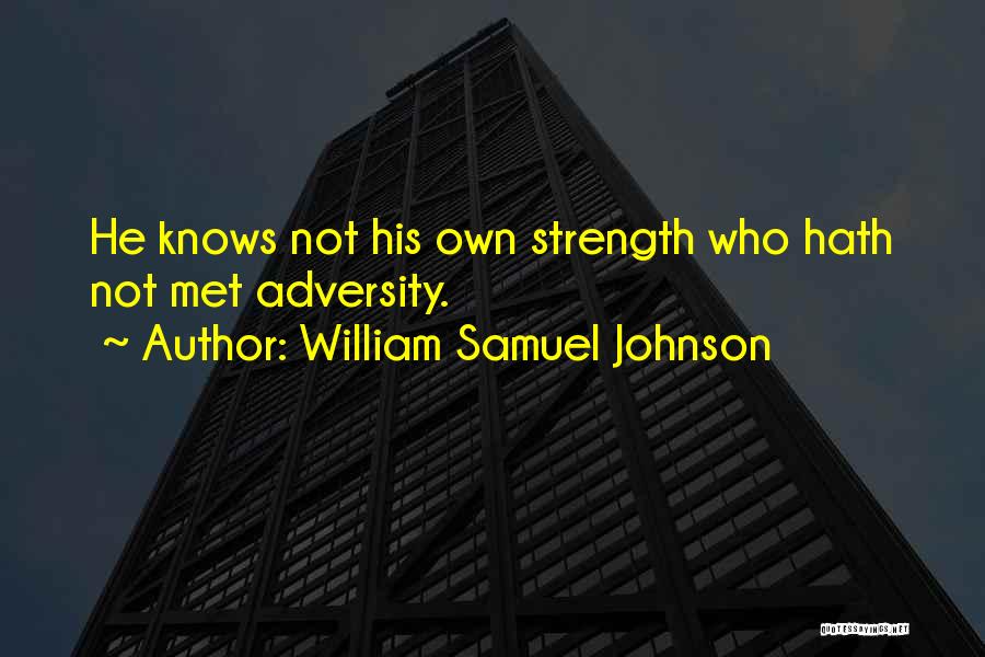 William H Johnson Quotes By William Samuel Johnson