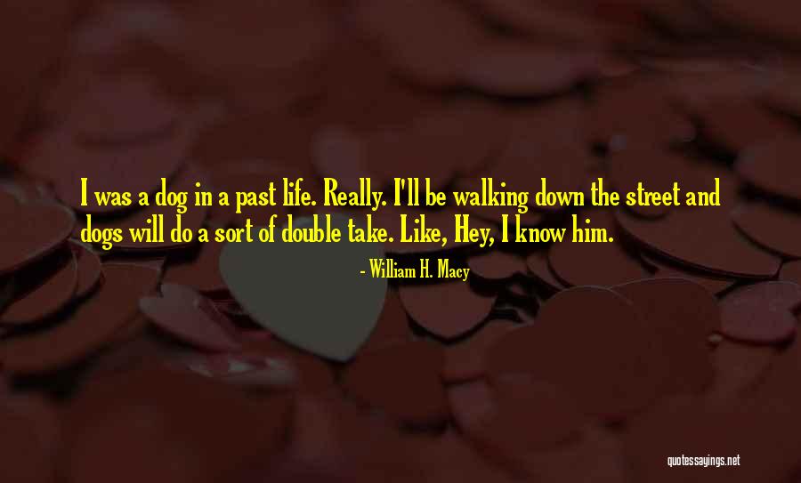 William H. Macy Quotes 983885 William H. Macy Quotes 983885