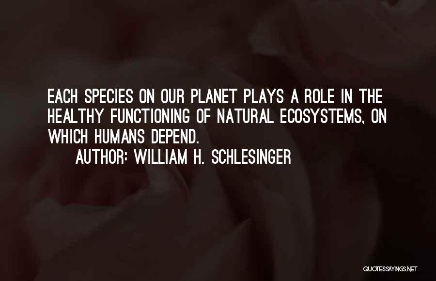 William H. Schlesinger Quotes 1996853