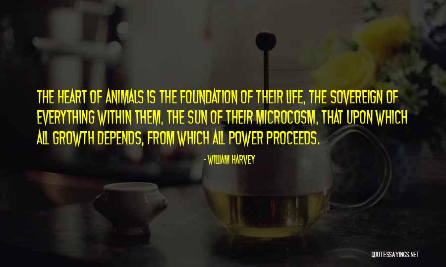 William Harvey Quotes 452304 William Harvey Quotes 452304