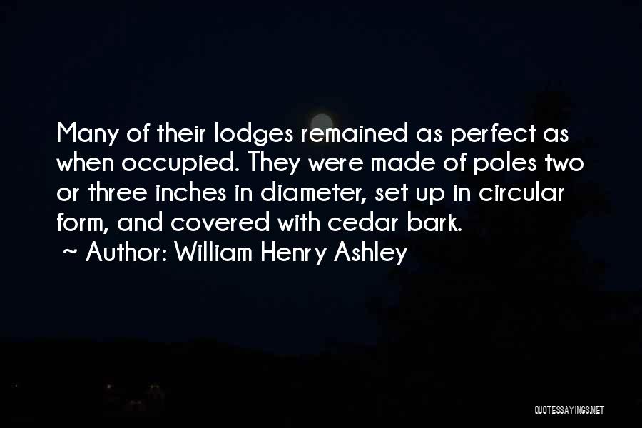William Henry Ashley Quotes 1222687