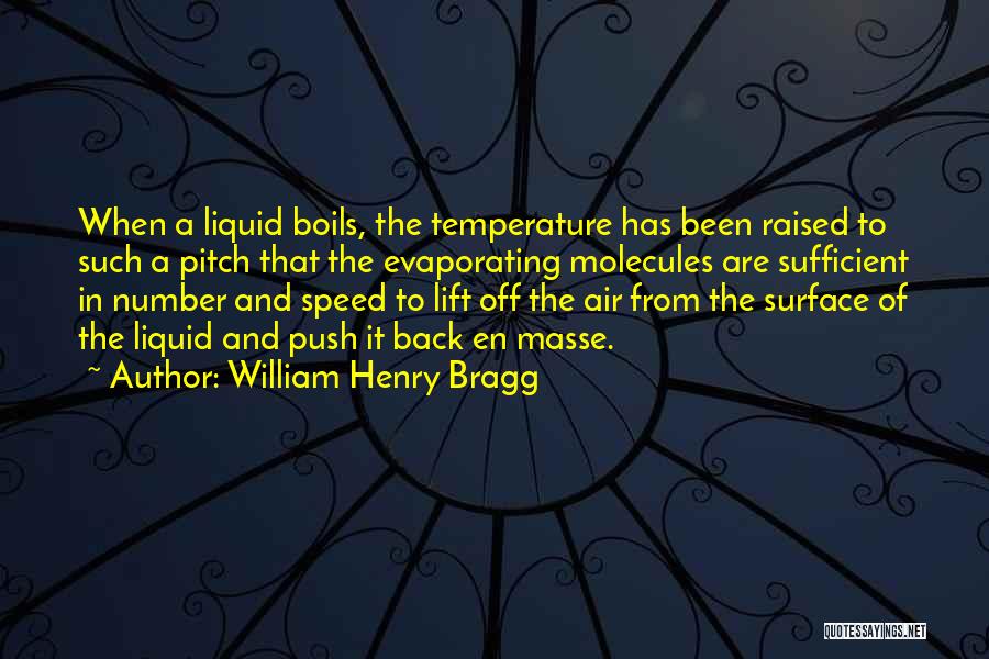William Henry Bragg Quotes 1334231