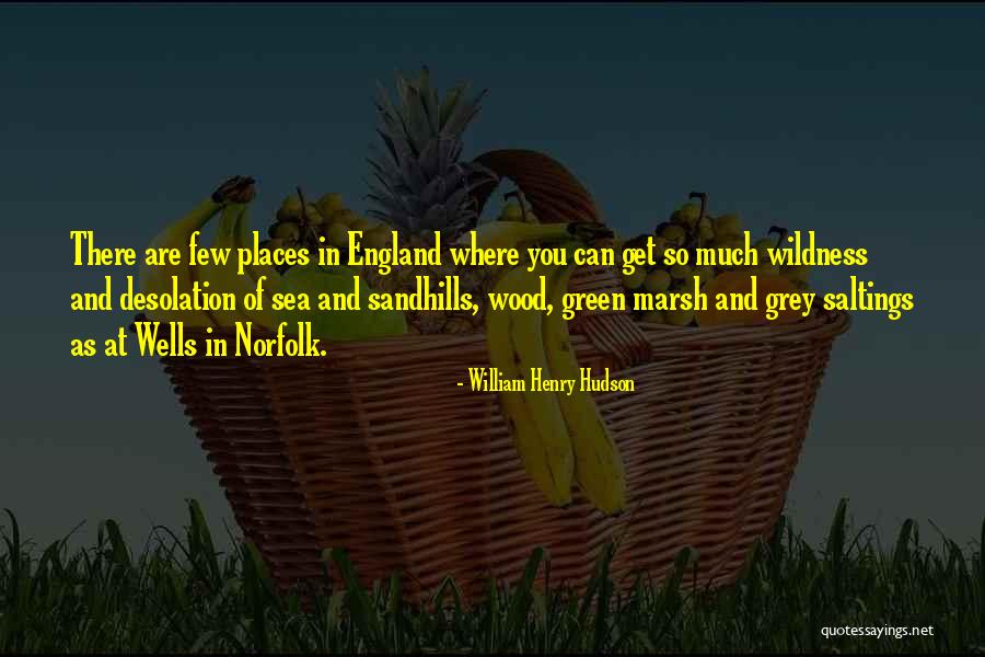 William Henry Hudson Quotes 1181466 William Henry Hudson Quotes 1181466