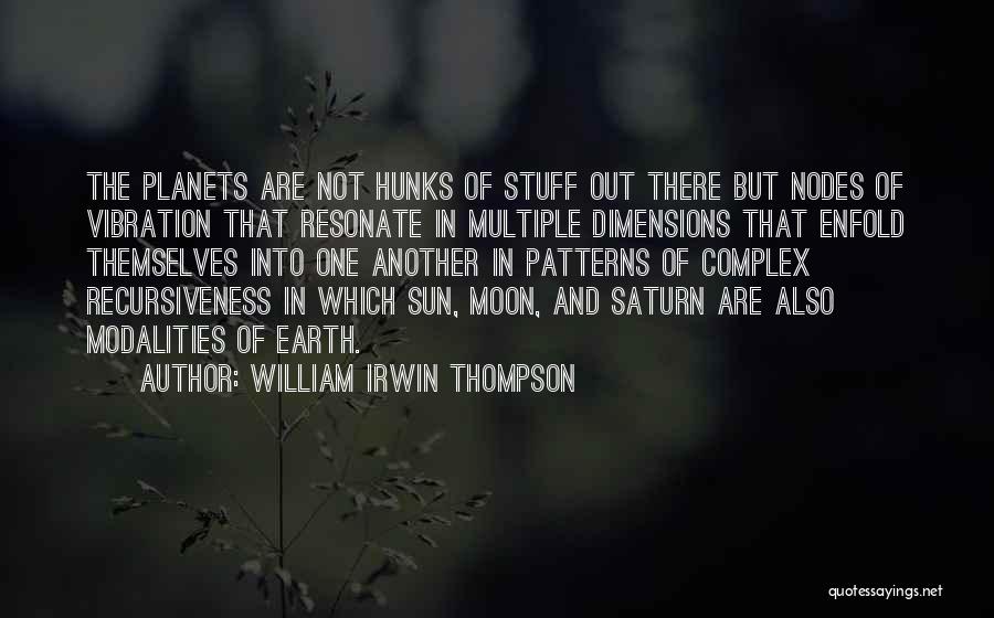 William Irwin Thompson Quotes 1244128