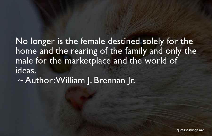William J. Brennan Jr. Quotes 441715