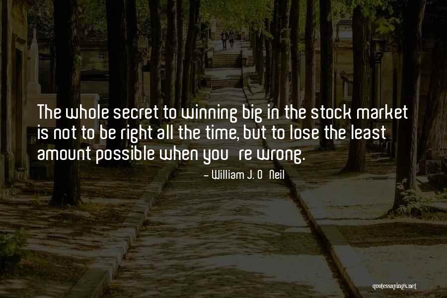 William J. O'Neil Quotes 152524