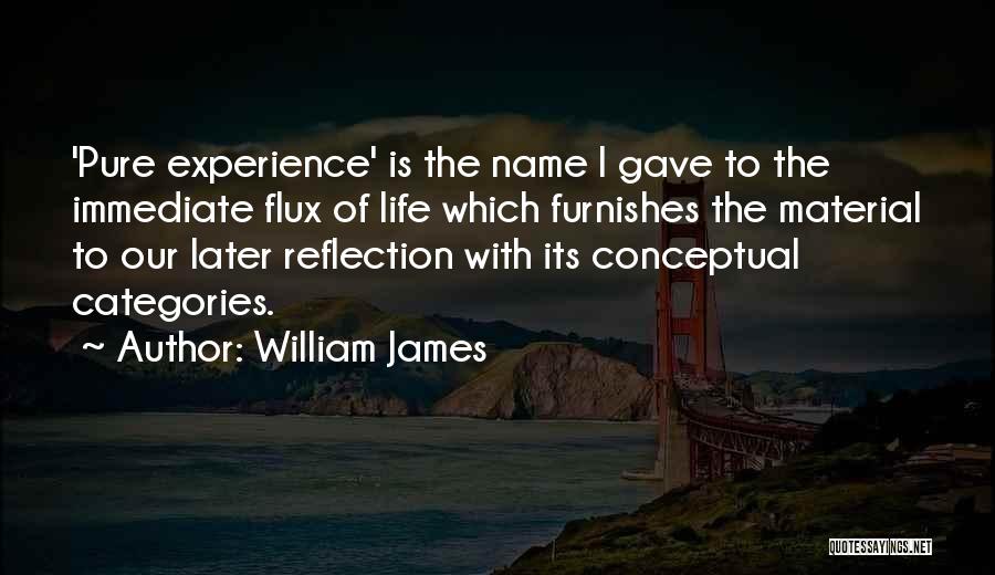 William James Quotes 1115210
