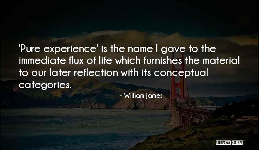 William James Quotes 1115210