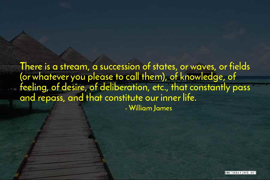 William James Quotes 1753347