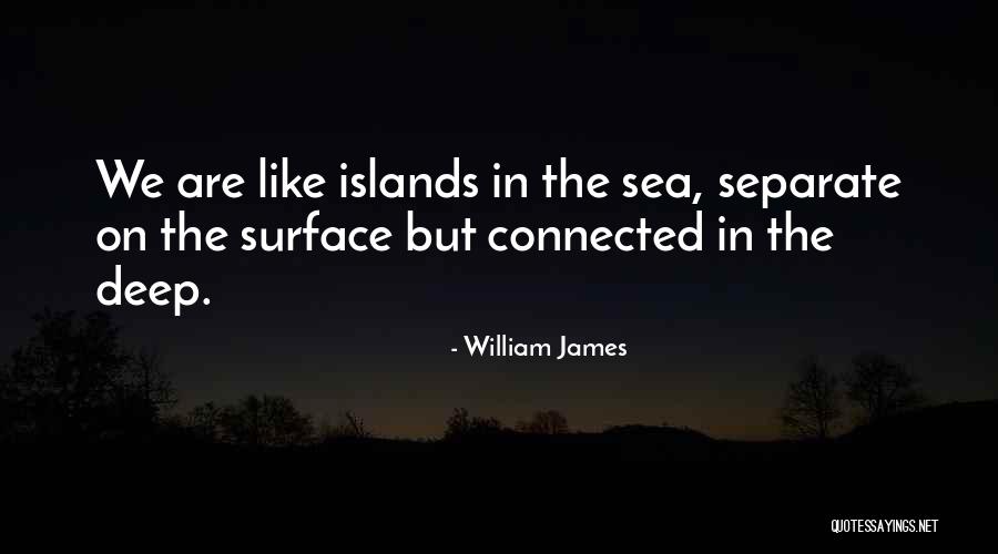 William James Quotes 1805754