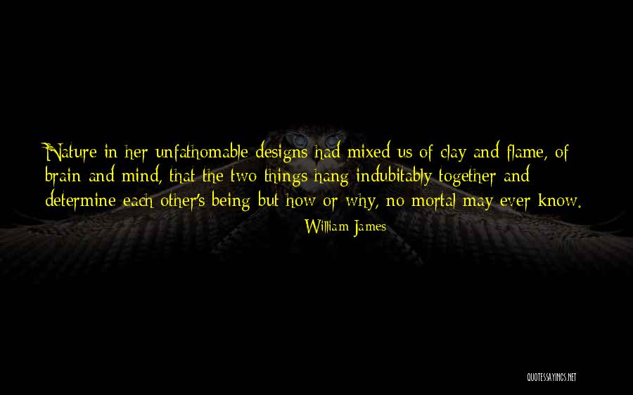 William James Quotes 747579