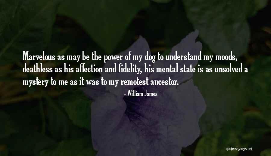 William James Quotes 767778