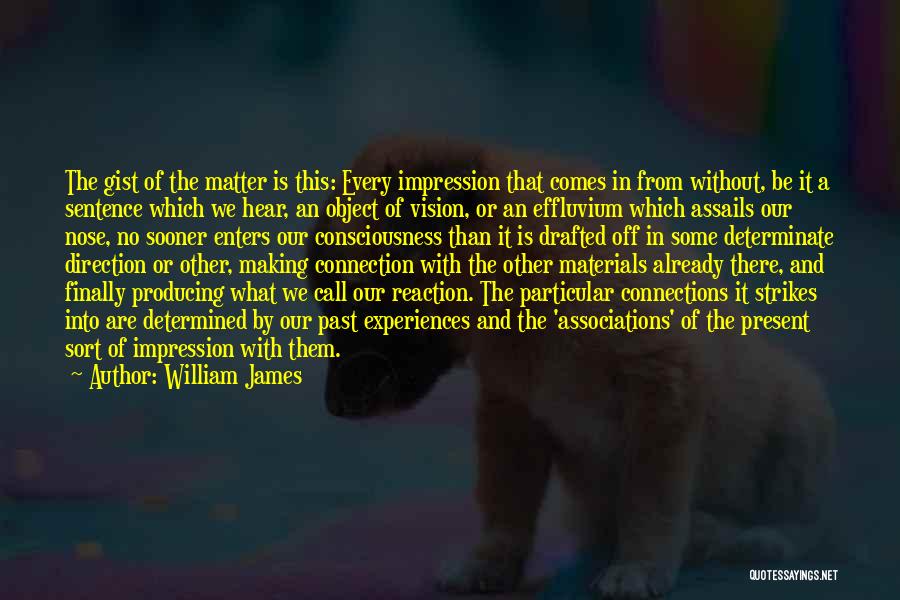 William James Quotes 86057