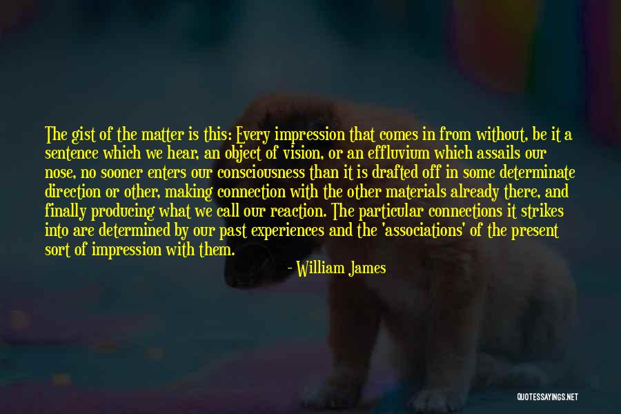 William James Quotes 86057