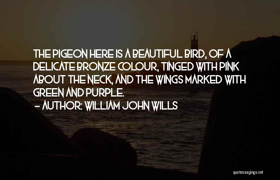 William John Wills Quotes 79152