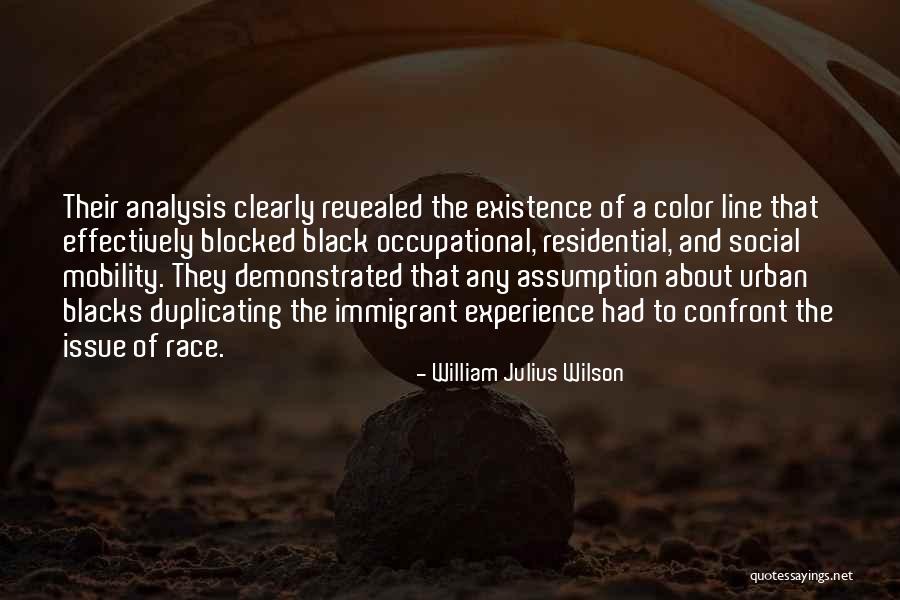 William Julius Wilson Quotes 1532580