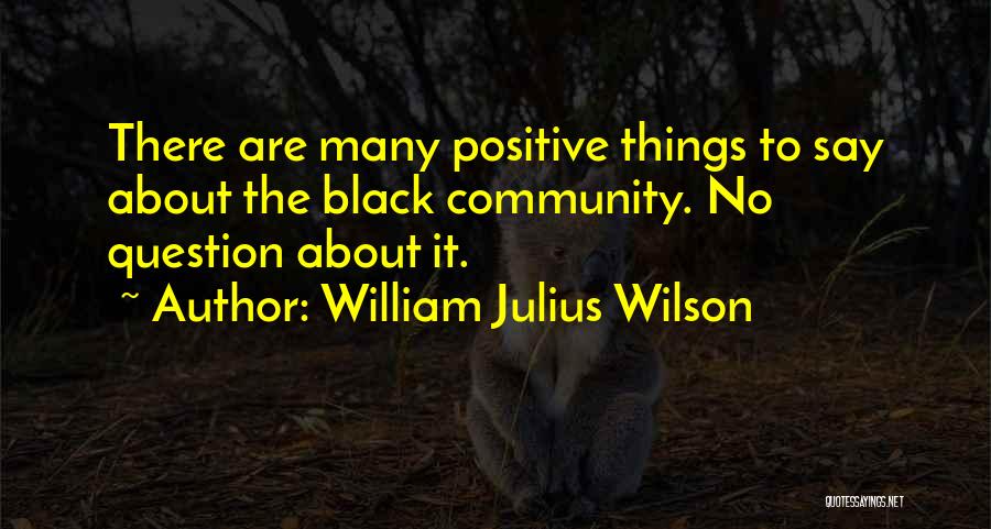 William Julius Wilson Quotes 2131791
