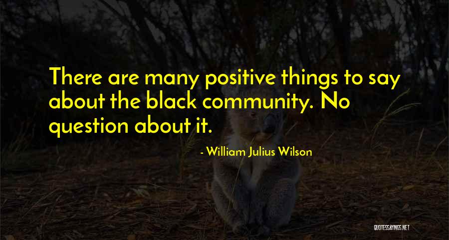 William Julius Wilson Quotes 2131791