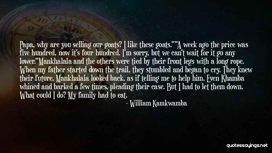 William Kamkwamba Quotes 1387007