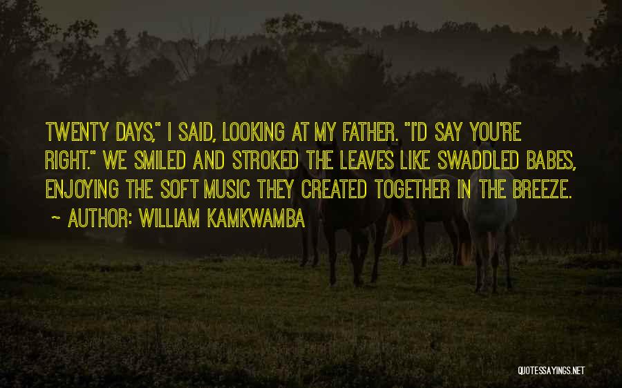 William Kamkwamba Quotes 1477548