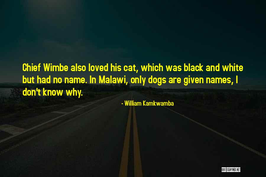 William Kamkwamba Quotes 425236