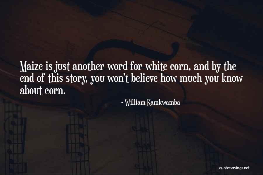 William Kamkwamba Quotes 767881