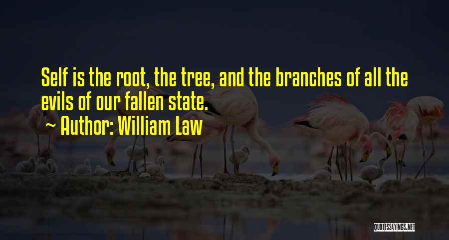 William Law Quotes 530319