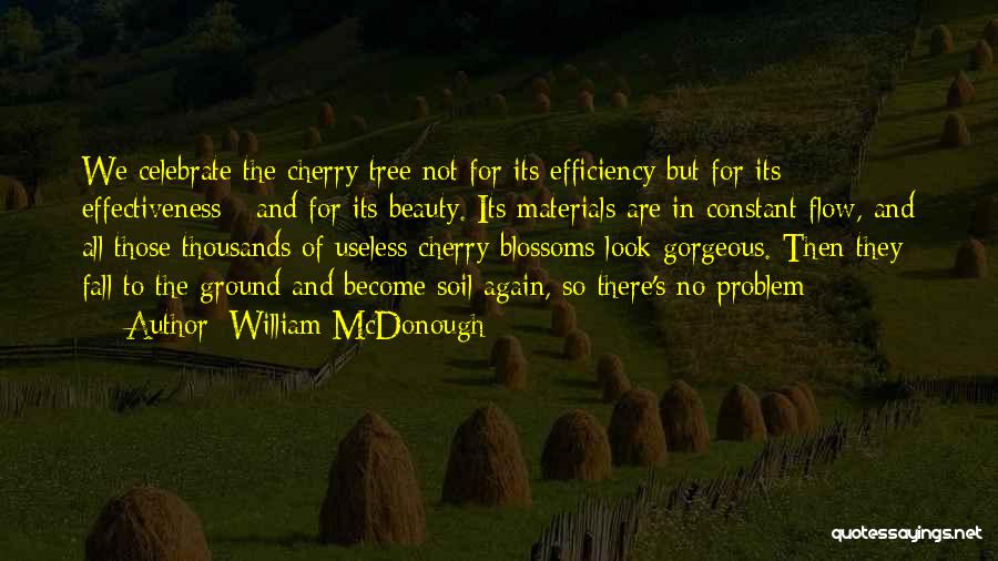 William McDonough Quotes 220528