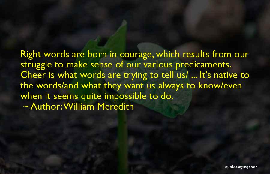 William Meredith Quotes 1440317