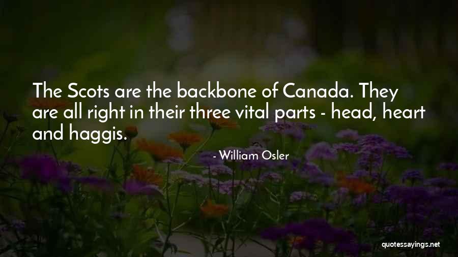 William Osler Quotes 817801