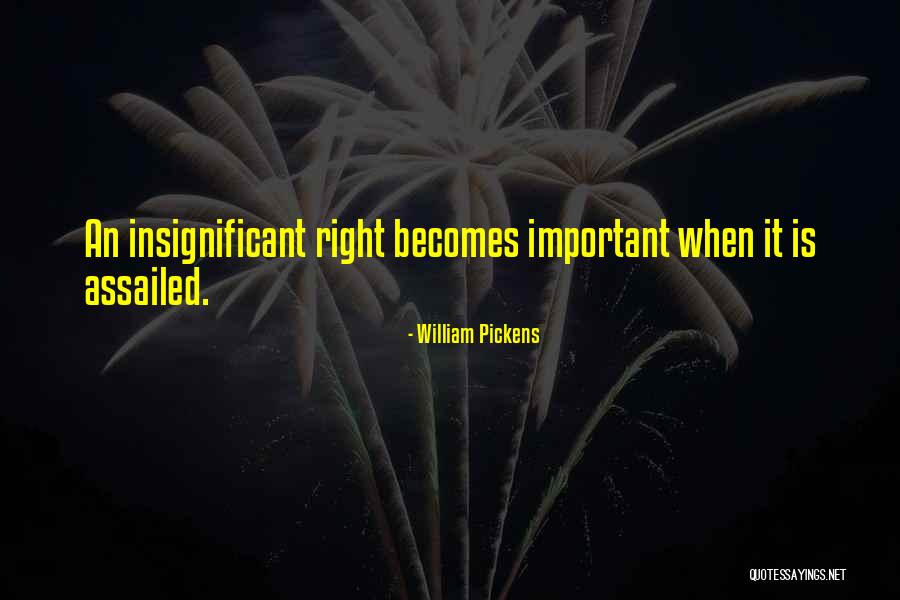 William Pickens Quotes 1446845