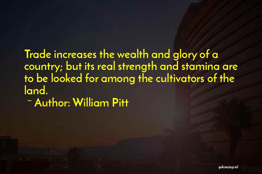 William Pitt Quotes 1803648