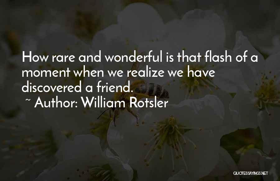 William Rotsler Quotes 890538