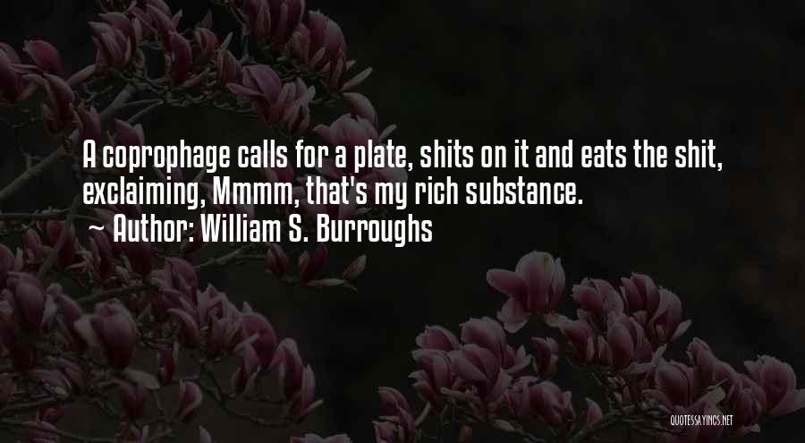 William S. Burroughs Quotes 1429896