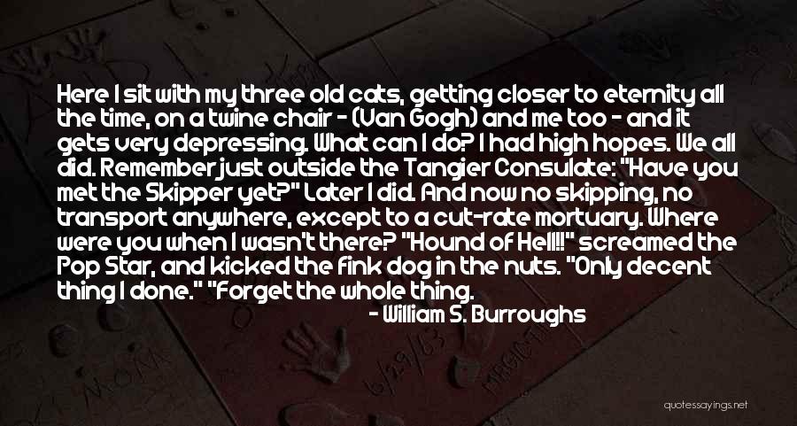 William S. Burroughs Quotes 181510