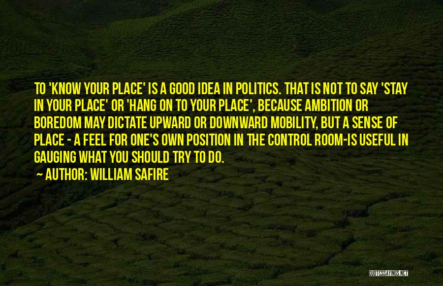 William Safire Quotes 1061542