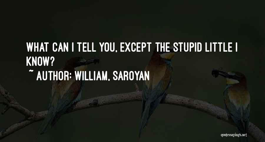 William, Saroyan Quotes 159515