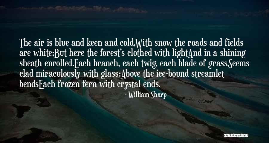 William Sharp Quotes 540999 William Sharp Quotes 540999