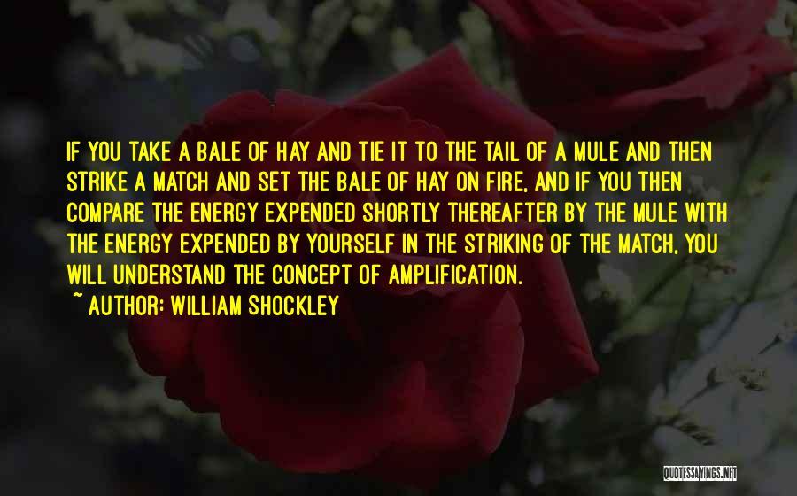 William Shockley Quotes 1898297