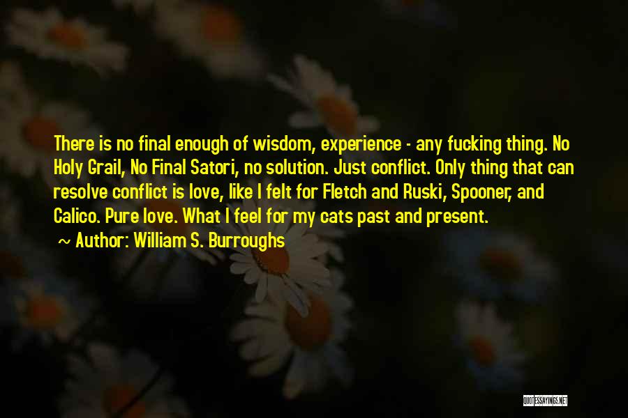 William Spooner Quotes By William S. Burroughs