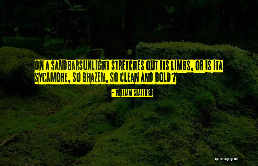 William Stafford Quotes 671348 William Stafford Quotes 671348