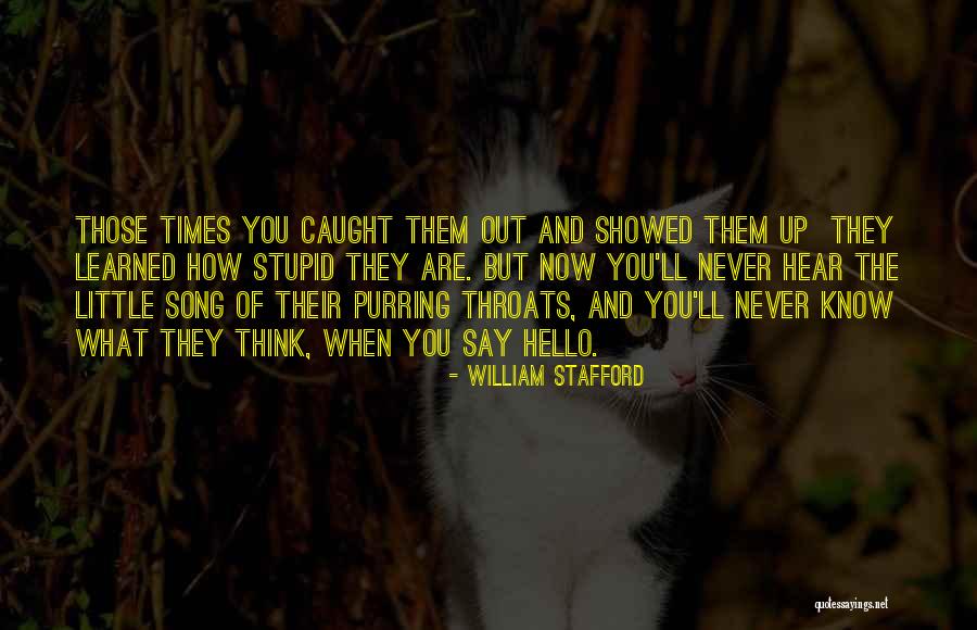 William Stafford Quotes 718784