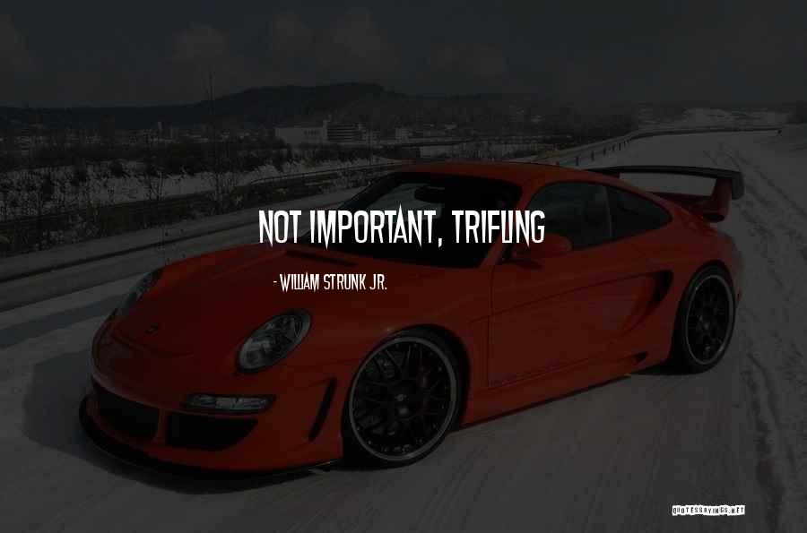 William Strunk Jr. Quotes 1420961