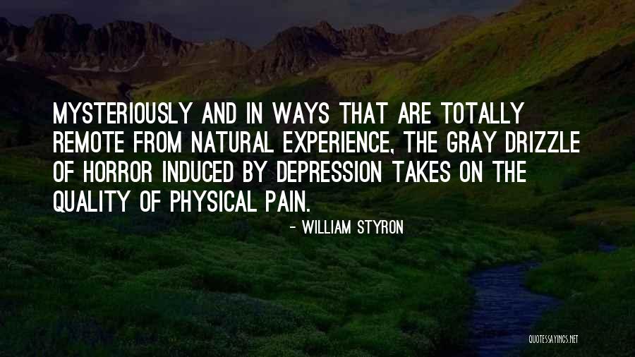 William Styron Quotes 1183072