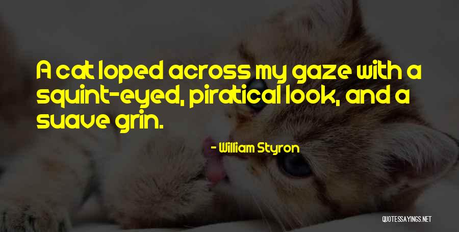 William Styron Quotes 1850225