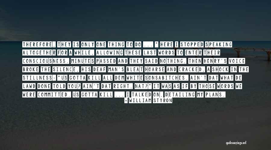William Styron Quotes 2045006 William Styron Quotes 2045006