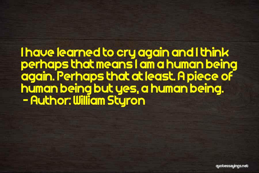 William Styron Quotes 2056533