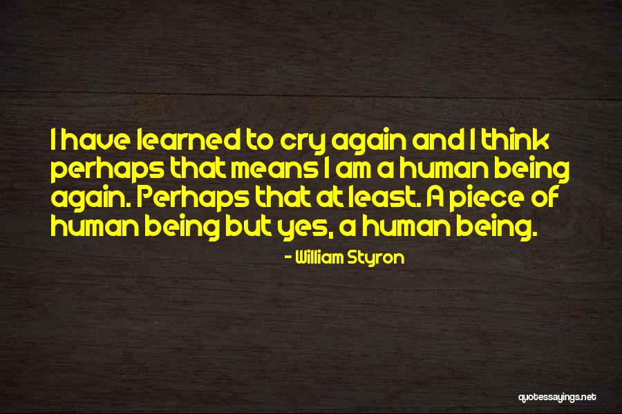 William Styron Quotes 2056533