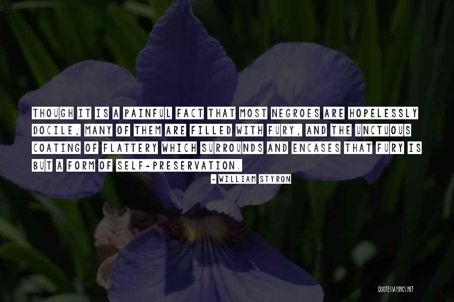 William Styron Quotes 2060126 William Styron Quotes 2060126